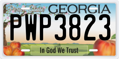 GA license plate PWP3823