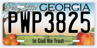 GA license plate PWP3825