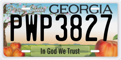 GA license plate PWP3827