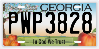 GA license plate PWP3828