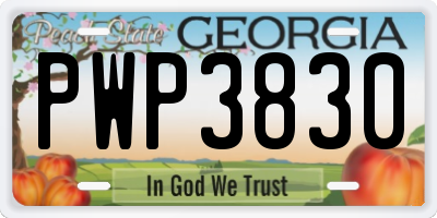 GA license plate PWP3830