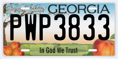 GA license plate PWP3833