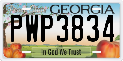 GA license plate PWP3834