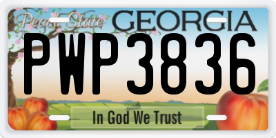 GA license plate PWP3836
