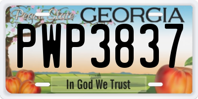 GA license plate PWP3837
