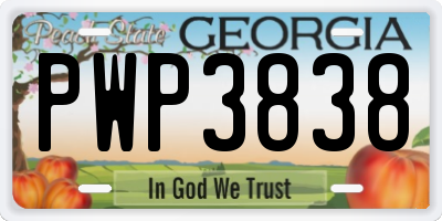 GA license plate PWP3838