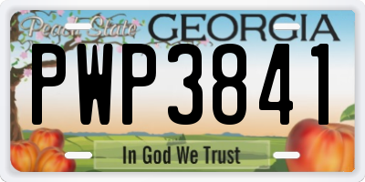 GA license plate PWP3841