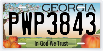 GA license plate PWP3843