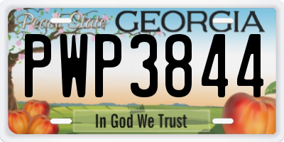 GA license plate PWP3844