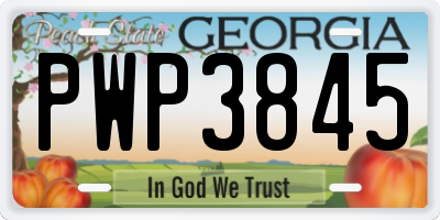 GA license plate PWP3845