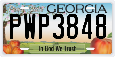 GA license plate PWP3848