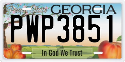 GA license plate PWP3851
