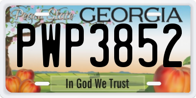 GA license plate PWP3852