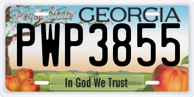 GA license plate PWP3855