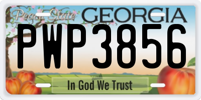 GA license plate PWP3856
