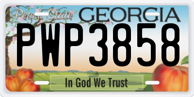 GA license plate PWP3858