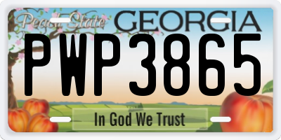 GA license plate PWP3865