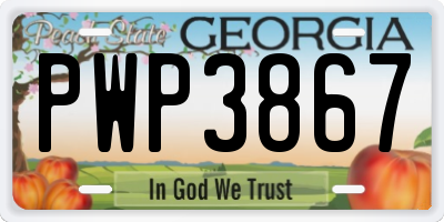 GA license plate PWP3867
