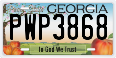 GA license plate PWP3868