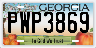 GA license plate PWP3869