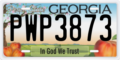 GA license plate PWP3873