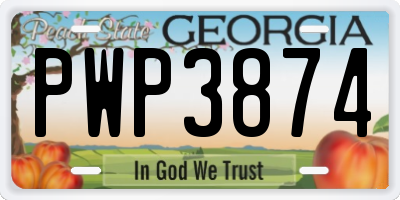 GA license plate PWP3874
