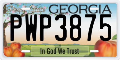 GA license plate PWP3875