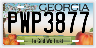 GA license plate PWP3877