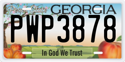 GA license plate PWP3878