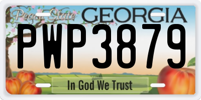 GA license plate PWP3879