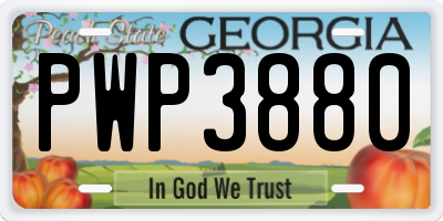 GA license plate PWP3880