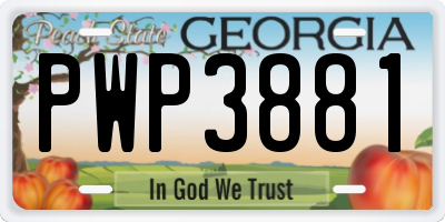 GA license plate PWP3881