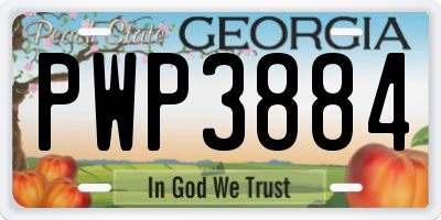 GA license plate PWP3884