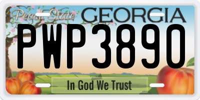 GA license plate PWP3890