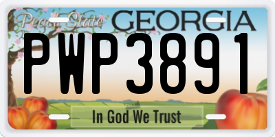 GA license plate PWP3891