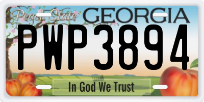 GA license plate PWP3894