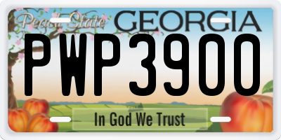 GA license plate PWP3900