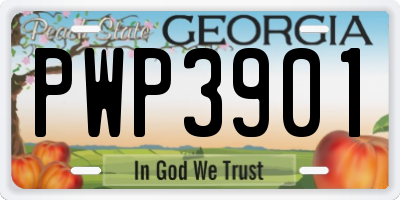 GA license plate PWP3901