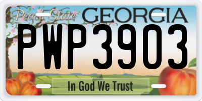 GA license plate PWP3903