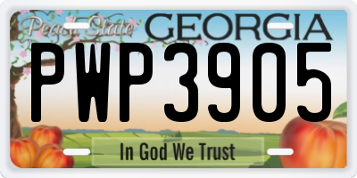 GA license plate PWP3905