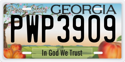 GA license plate PWP3909