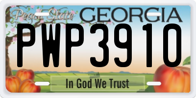 GA license plate PWP3910