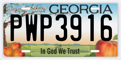 GA license plate PWP3916