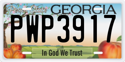 GA license plate PWP3917