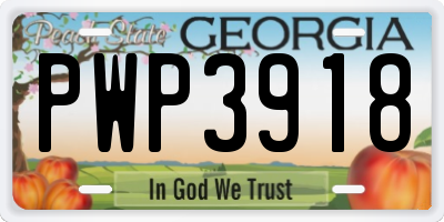 GA license plate PWP3918