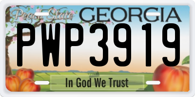 GA license plate PWP3919