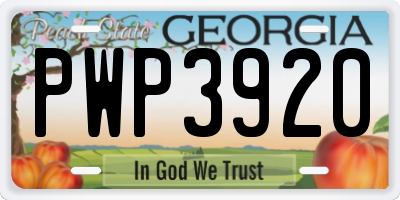 GA license plate PWP3920