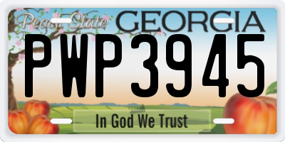 GA license plate PWP3945