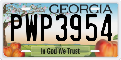 GA license plate PWP3954