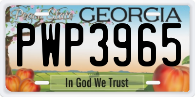 GA license plate PWP3965